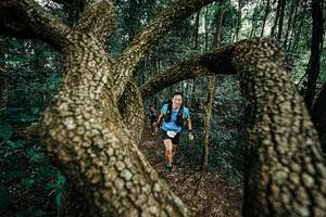 BIB: 
                            <button type="button" onclick="openModal(25393090)" class="btn btn-primary btn-sm float-right btn-popup" data-toggle="modal" data-target=".modal-high-quality">
                        <i class="fas fa-shopping-cart"></i> Add to Cart
                    </button>
                                            <button type="button" onclick="isThisMe(25393090, true)" class="btn btn-success btn-sm float-right btn-popup btn-isme hidden" data-toggle="tooltip" data-placement="bottom" title="นี่คือรูปของคุณใช่ไหม คลิกที่นี่เพื่อเอาเข้าอัลบั้ม">
                        <i class="fas fa-plus"></i> Add to album
                    </button>
                    <button type="button" onclick="isThisMe(25393090, false)" class="btn btn-warning btn-sm float-right btn-popup btn-isnotme hidden">
                        <i class="fas fa-ban"></i> Remove from album
                    </button>